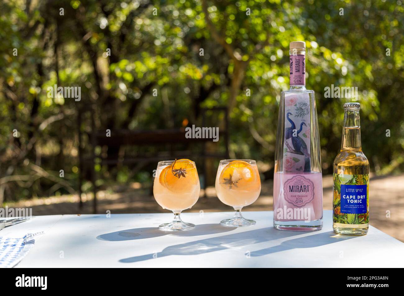 Gin und Tonic stehen auf einem Tisch im Freien mit einer Braaivleis im Hintergrund Stockfoto