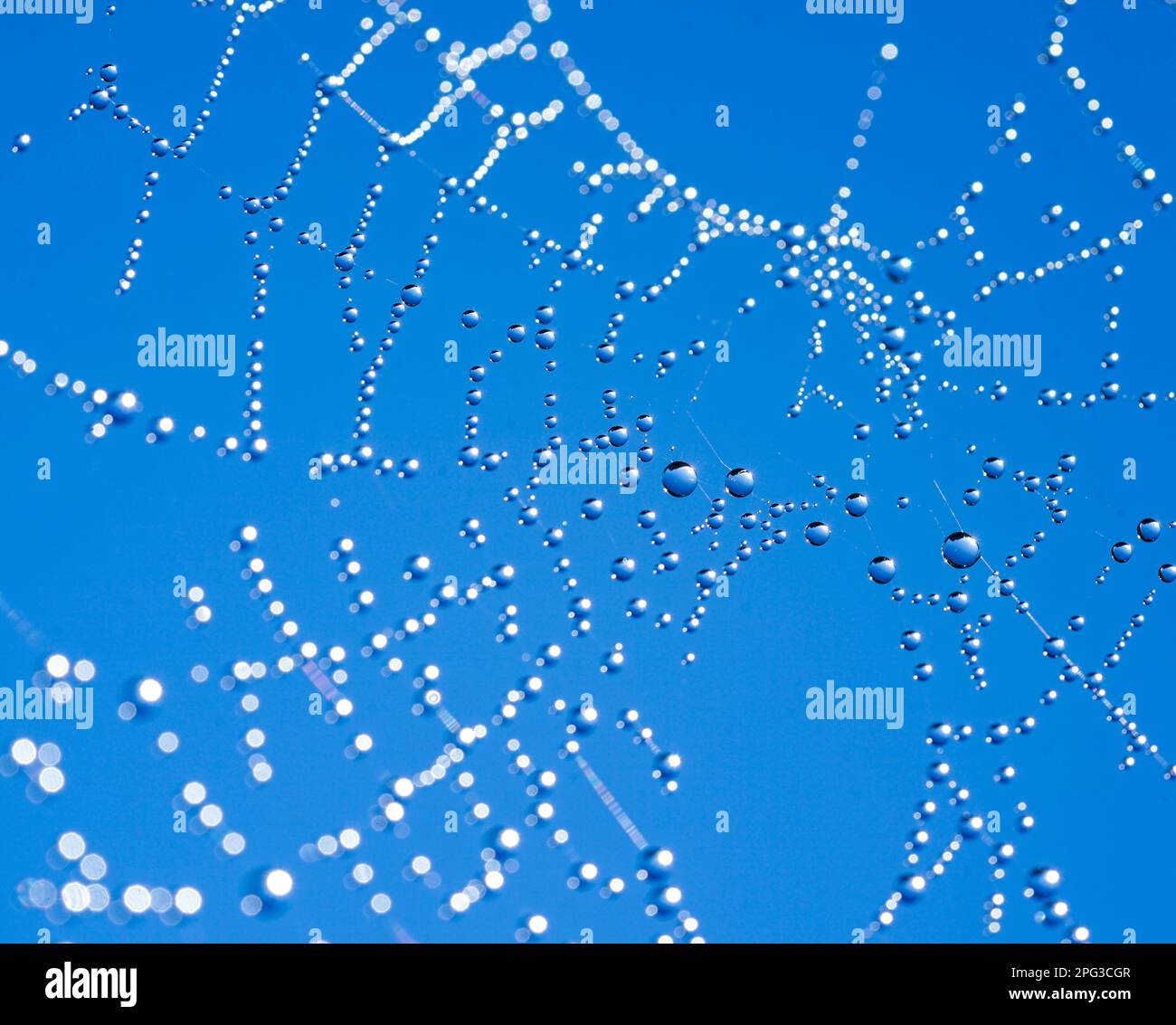 Wassertropfen auf blauem Sternenhimmel Stockfoto