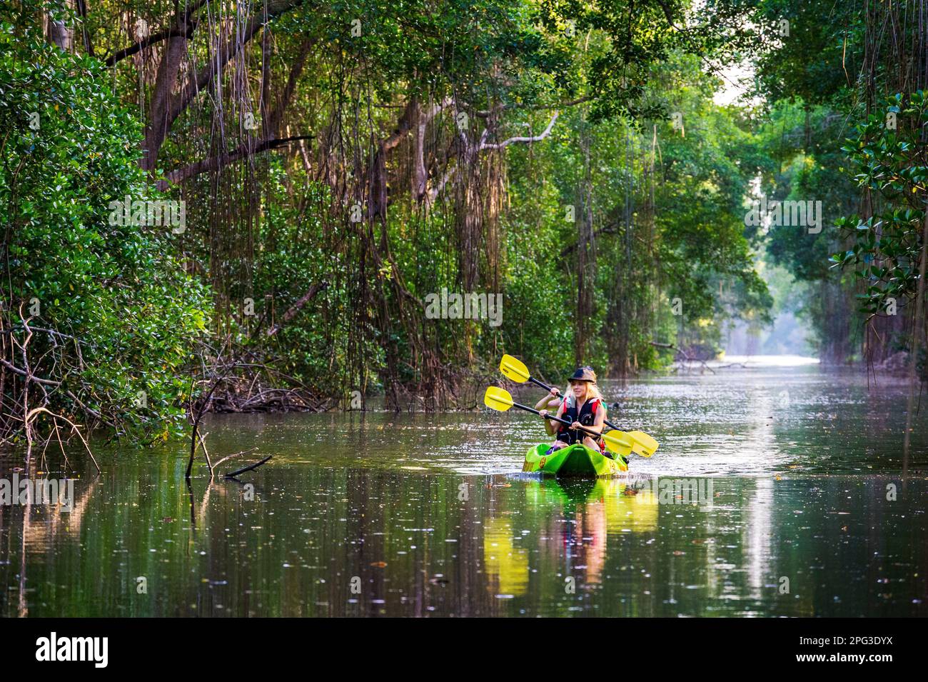 Caroni Sumpf-Kajak-Touren, Trinidad, Republik Trinidad und Tobago, Südkaribik Stockfoto