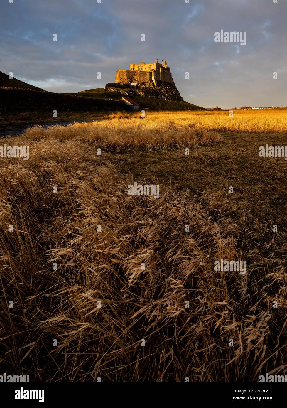 Schloss Lindisfarne in Dawn Stockfoto