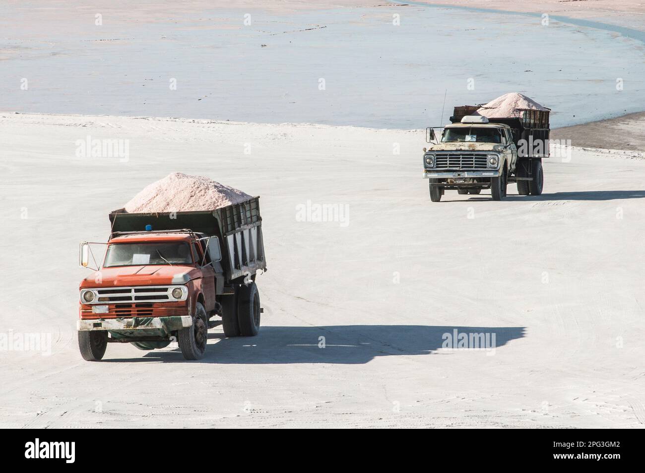Harvest Salt Industry in Pampas Saline, La Pampa Province, Patagonien, Argentinien. Stockfoto