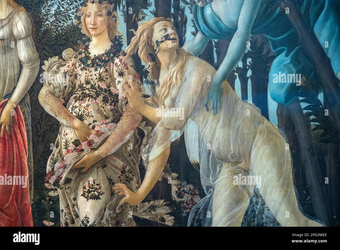 Die Primavera, also der Frühling, gemalt von Sandro Botticelli in den Uffizien in Florenz, Italien. Stockfoto