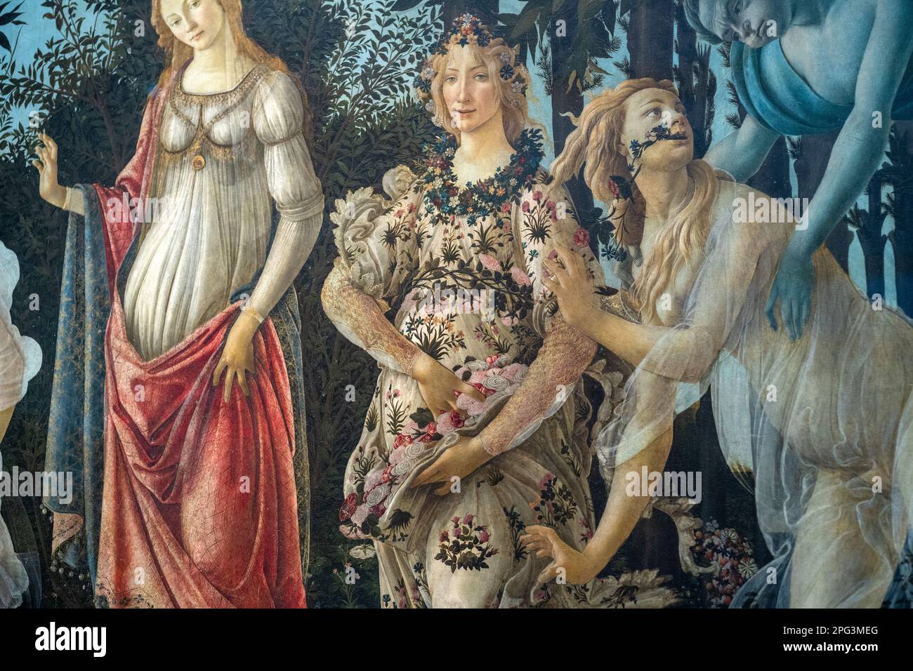 Die Primavera, also der Frühling, gemalt von Sandro Botticelli in den Uffizien in Florenz, Italien. Stockfoto