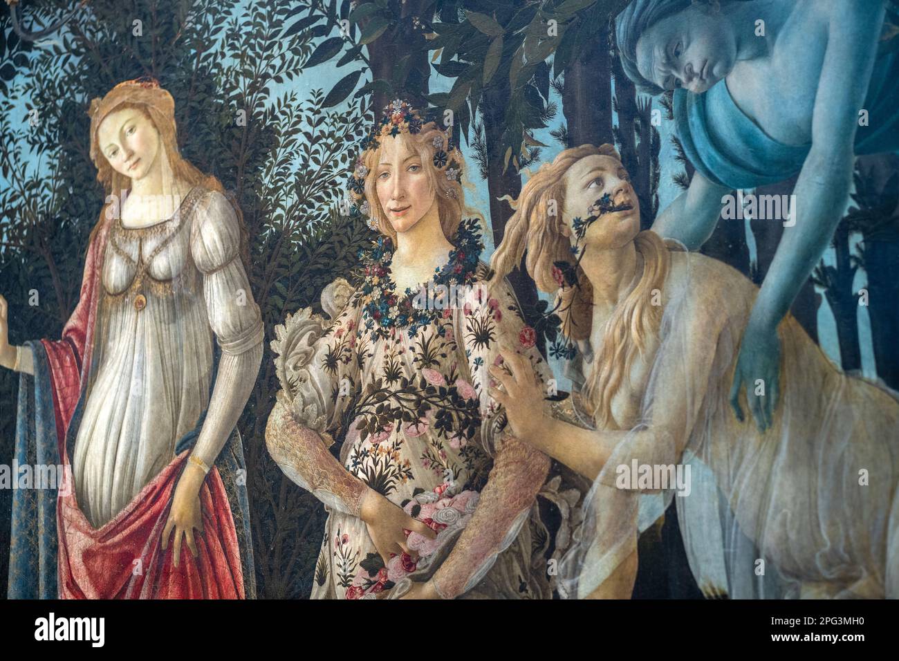 Die Primavera, also der Frühling, gemalt von Sandro Botticelli in den Uffizien in Florenz, Italien. Stockfoto