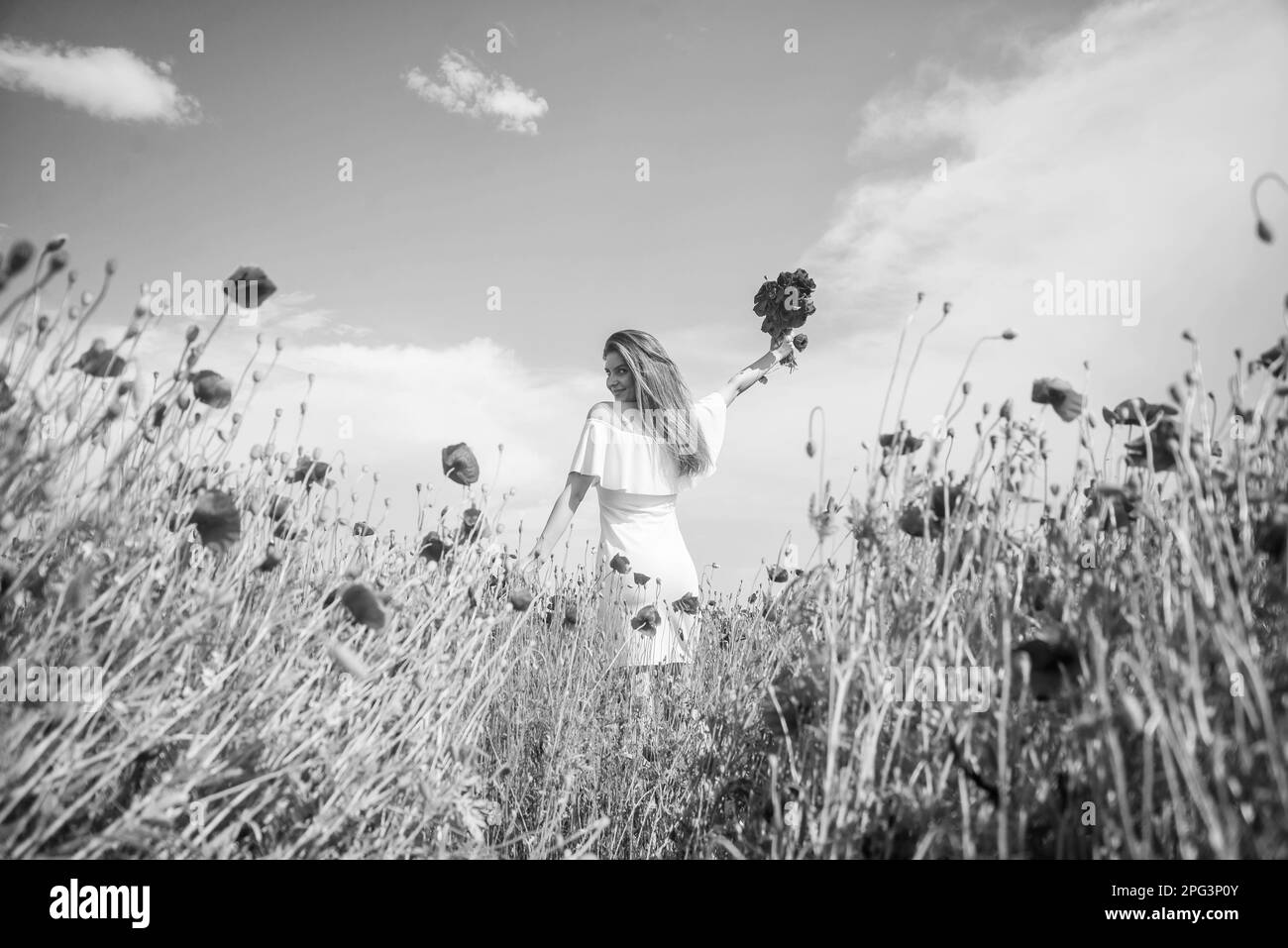 Schöne Dame unter Mohnblumen. Opium. Glückliches Mädchen, das Frühlingsstrauß sammelt. Stockfoto