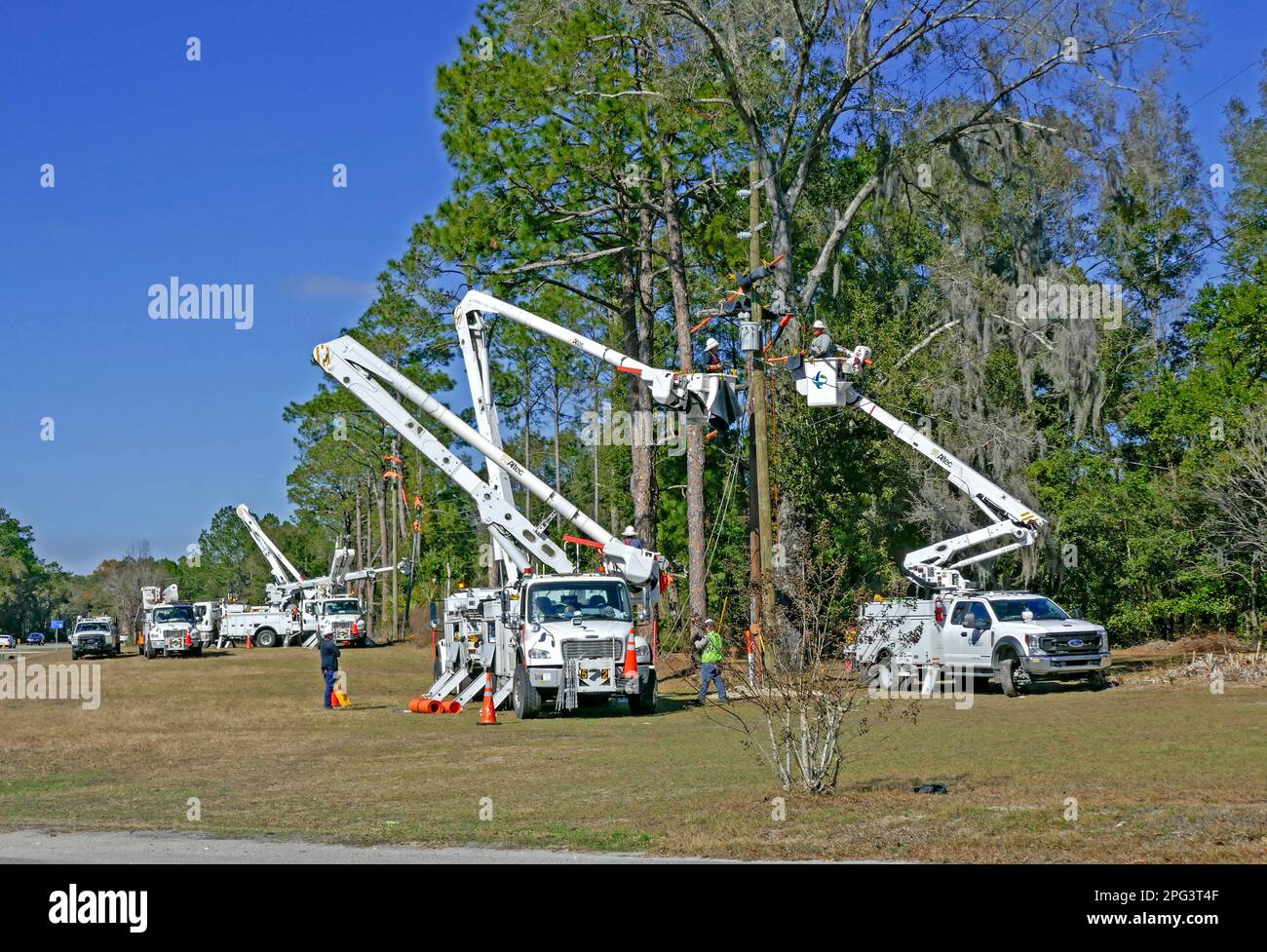 Mehrere Einheiten von elektrischen Lineelen arbeiten in Nord-Zentralflorida. Stockfoto