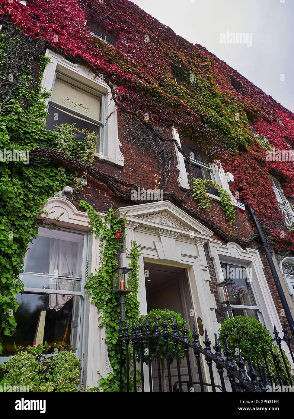 Dublin, Irland - 09 25 2015: Typisches Stadthaus mit überwucherten Mauern von farbenfrohem Efeu in den Straßen von Dublin an einem sonnigen Tag Stockfoto