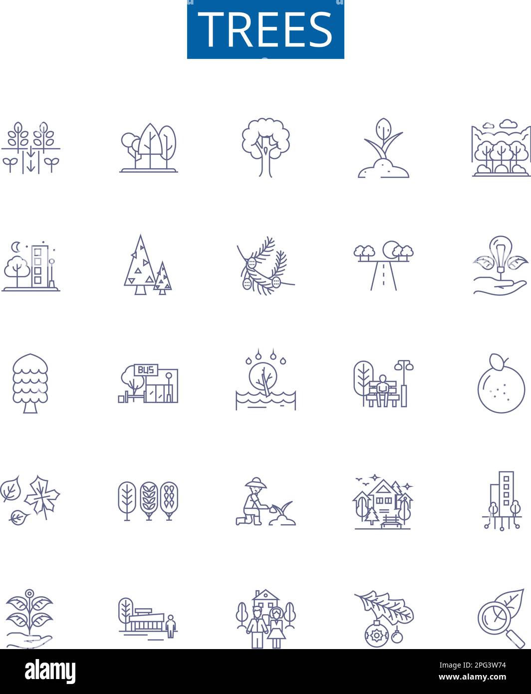 Symbole für Baumlinien sind eingestellt. Designkollektion aus Baum, Nadelholz, Holz, Kiefer, Eiche, Maple-, Palm-, Cedar-Kontur-Vektordarstellungen Stock Vektor