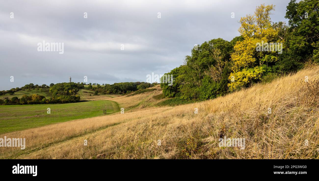 Die Parklandschaft des Purdown Hill im Norden von Bristol. Stockfoto