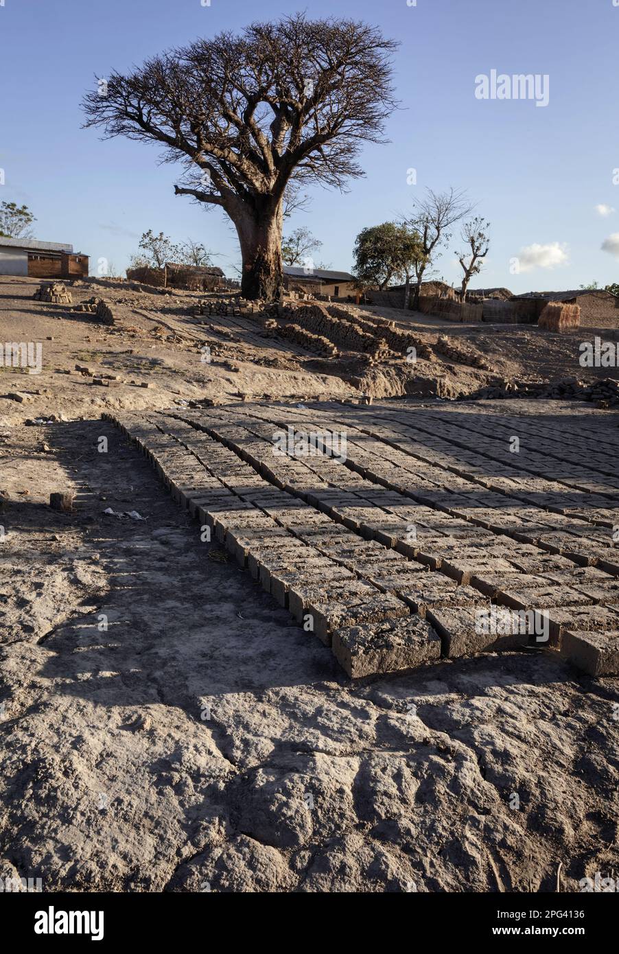 Die Baobab und die Chembe arbeiten in Cape Maclear. Stockfoto