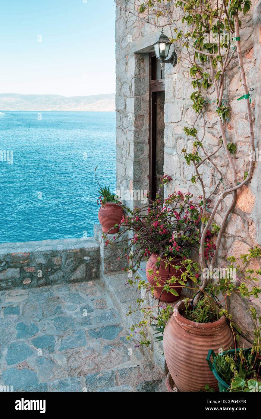 Topfpflanzen vor der Tür auf der Terrasse in Griechenland. Stockfoto