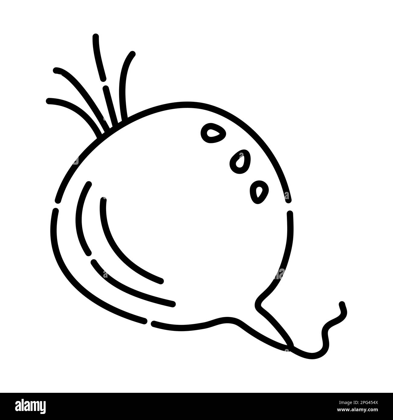 Abbildung: Rüben-Schwarz-Weiß, Symbol für Rote-Beete-Vektorlinie Stock Vektor