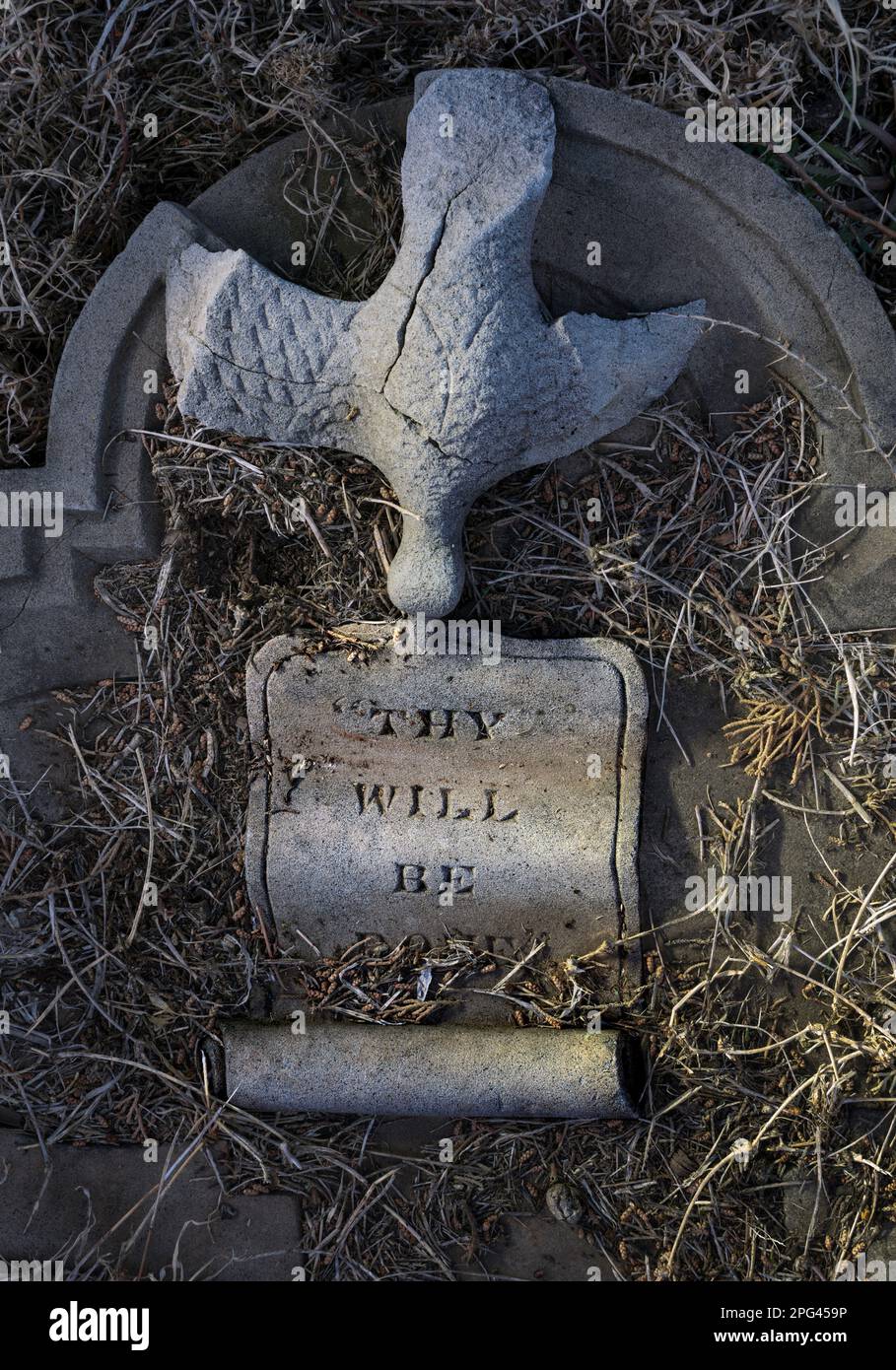 Ein Grab in deinem Lady Grey Friedhof. Stockfoto