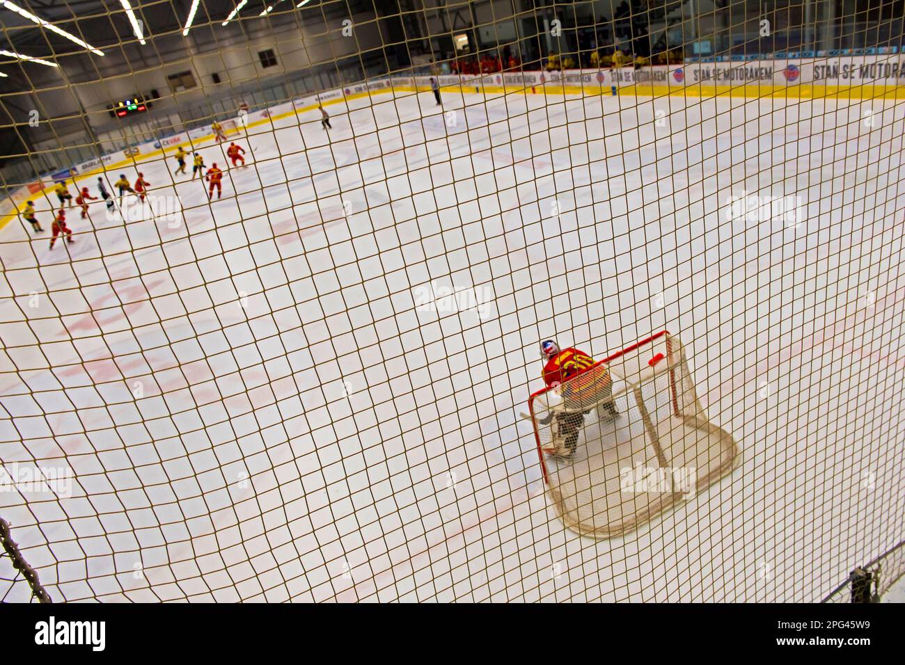 Eishockey-Torwart im Netz während des Hallenspiels von hinten Stockfoto