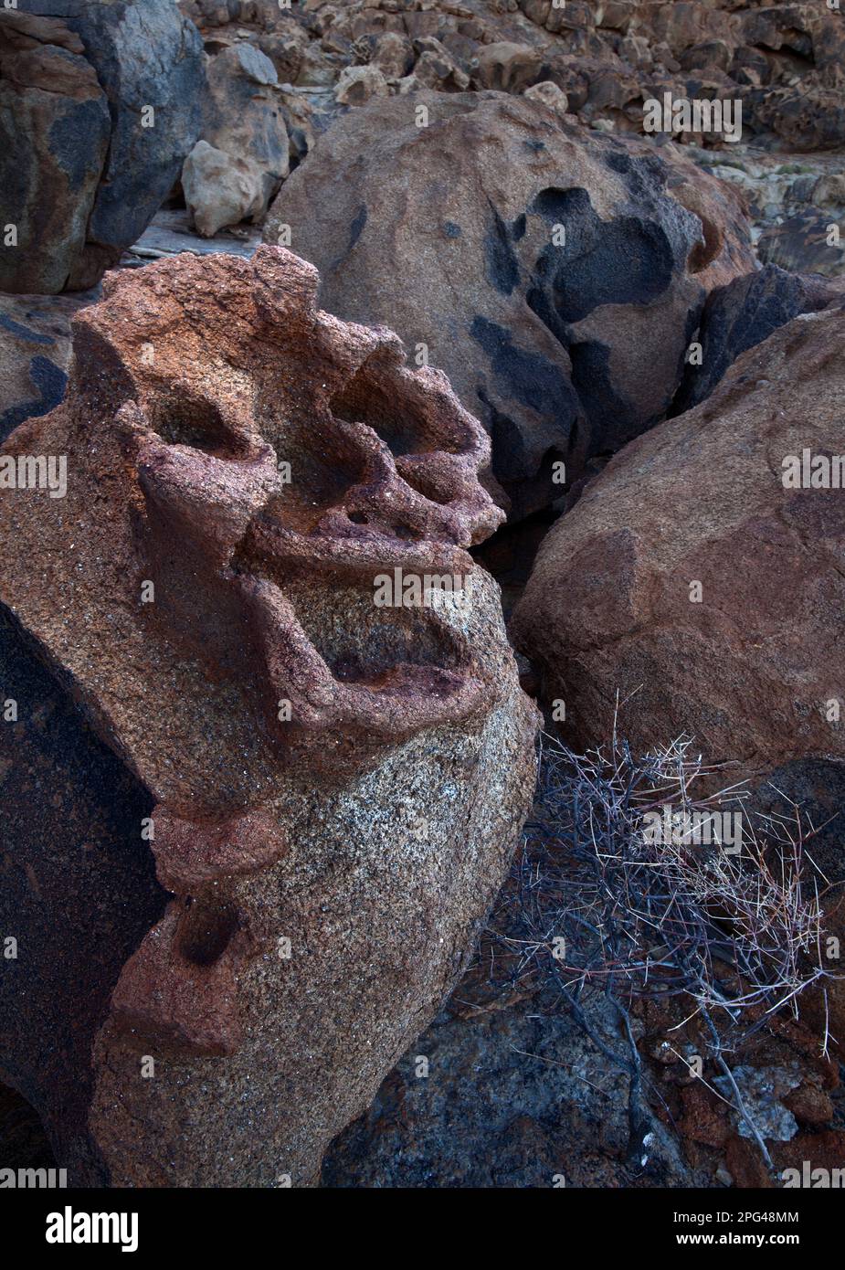Eine Felsformation am Elefantenfelsen in der Nähe des Brandberger Massivs zeigt einen seltsamen menschlichen Ausdruck. Stockfoto