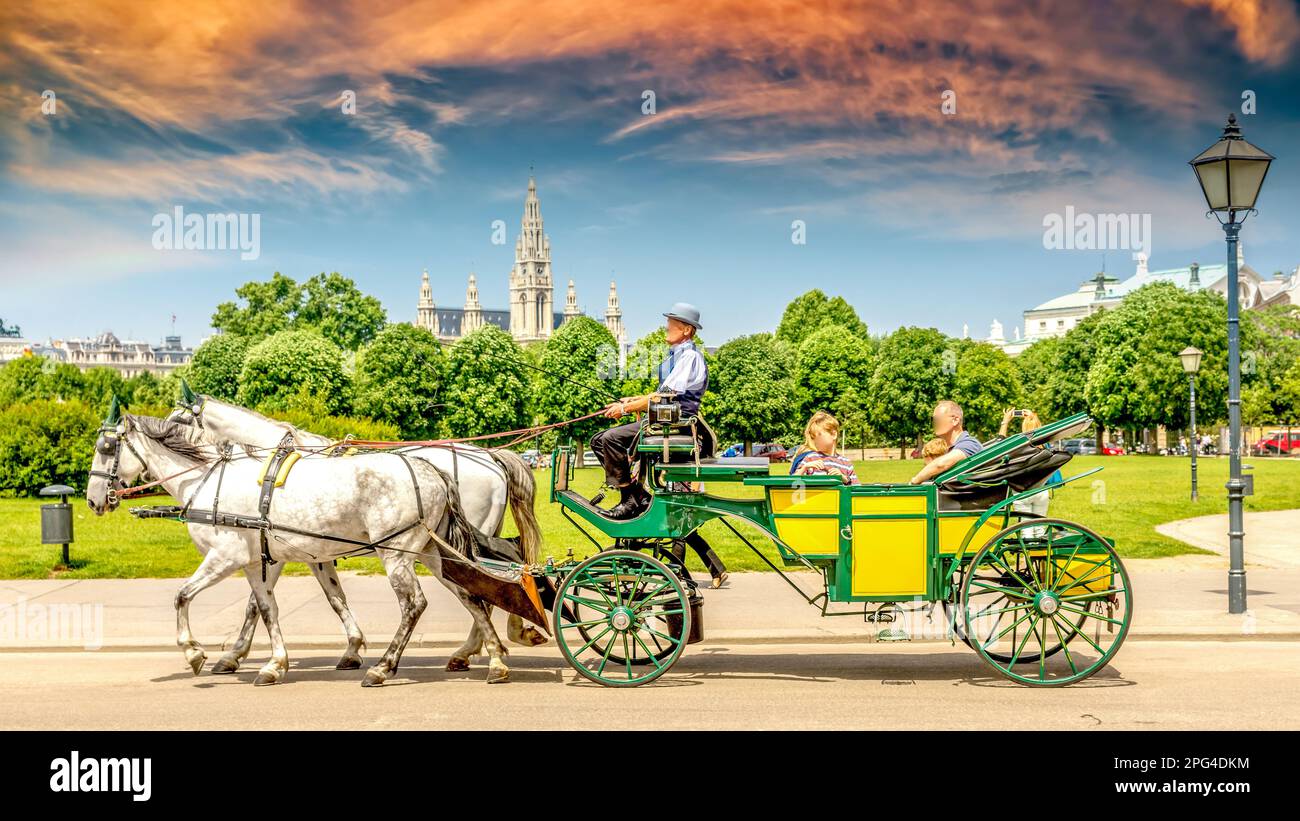 Rathaus, Wien, Österreich Stockfoto