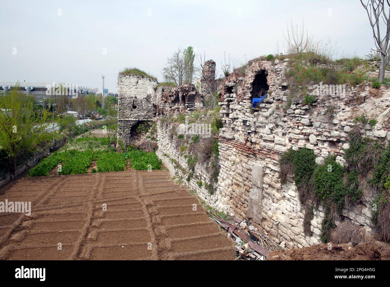 Stadtmauern von Istanbul Yedikule. Blick auf die historischen byzantinischen Mauern und den Gemüsegarten. Kaslika, Zeytinburnu. TRUTHAHN Stockfoto