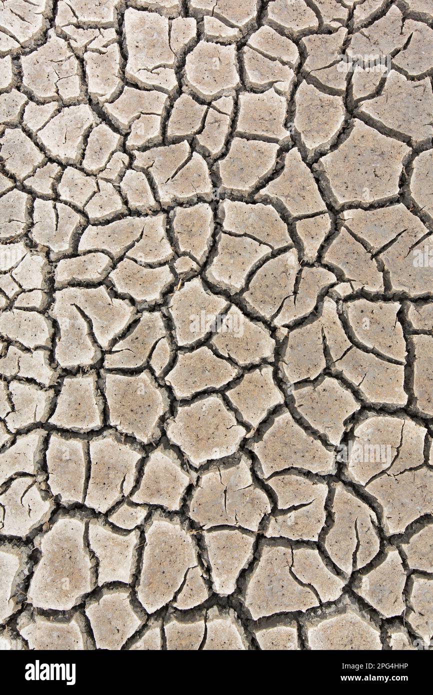 Abstraktes Muster von trockenem, rissigem Schlamm in trockenen Feuchtgebieten, verursacht durch längere Trockenheit im Sommer bei hohen Witterungsbedingungen Stockfoto