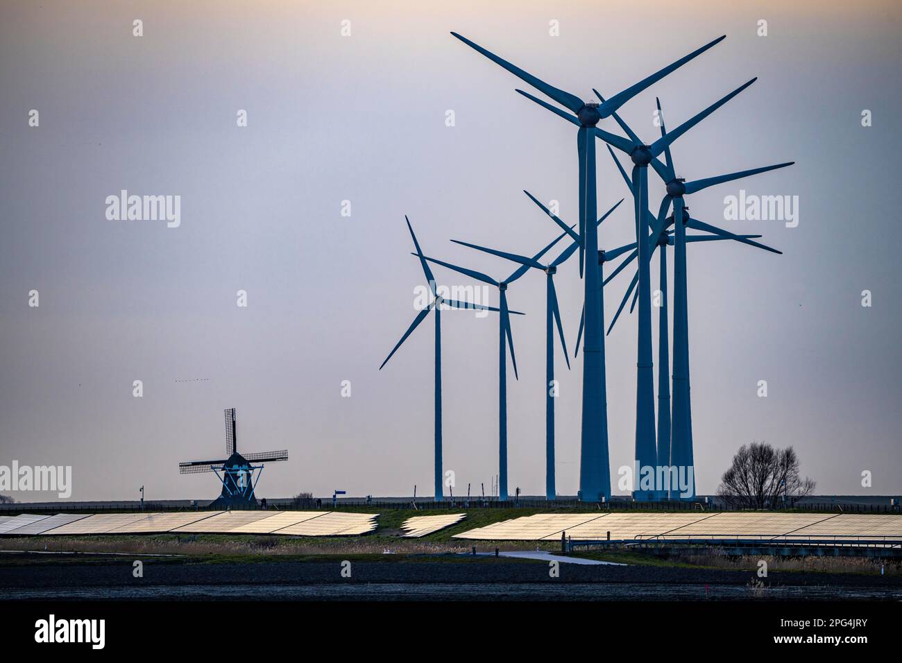 Windmühle Poldermolen De Goliath steht zwischen den Hightech-Windturbinen in Eemshaven, einer historischen Windmühle aus dem Jahr 1882, die wiederaufgebaut und wiederaufgebaut wurde Stockfoto