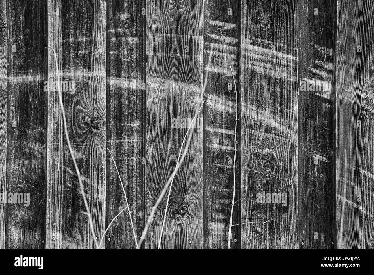 Alte Holzwand mit Kratzspuren Stockfoto