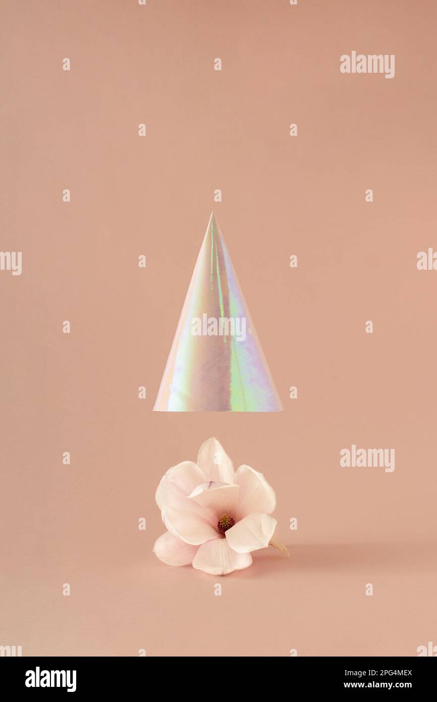 Frische Magnolienblüte mit Partyhut oben. Minimalfederkonzept. Stockfoto