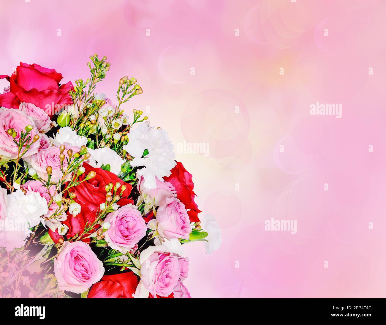 Grußkarte mit roten und rosafarbenen Rosen, weißen Nelken in der Ecke und Platz für Glückwunschtext auf unscharfem rosa Hintergrund mit Bokeh. Festliche Musik Stockfoto