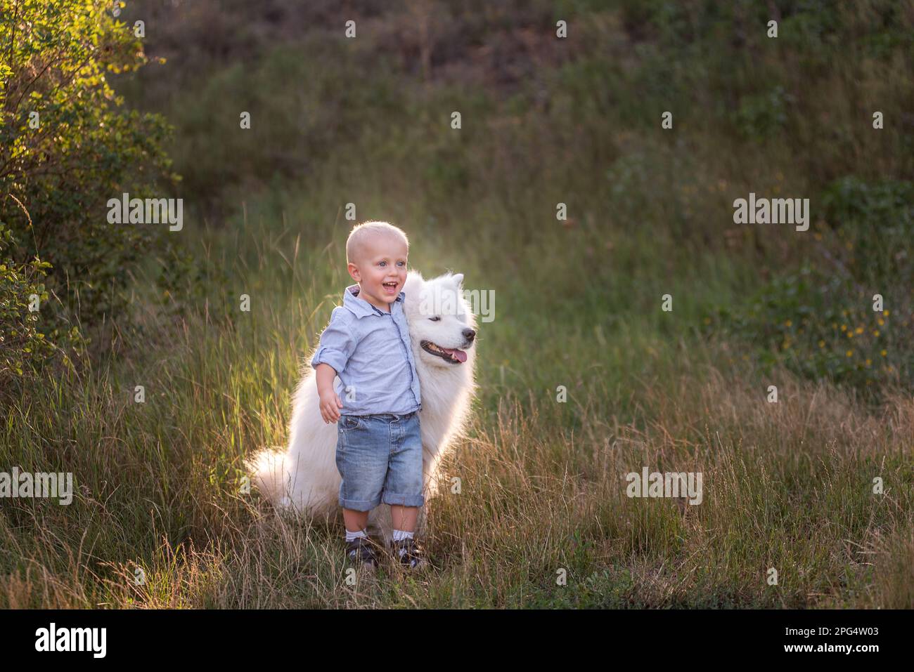 Der kleine Junge umarmt liebevoll den weißen, flauschigen Samoyerten Hund. Freundschaft zwischen Mensch und Tier. Therapie, Training, Pflege, Tierpflege. Reisen in der Natur mit Stockfoto