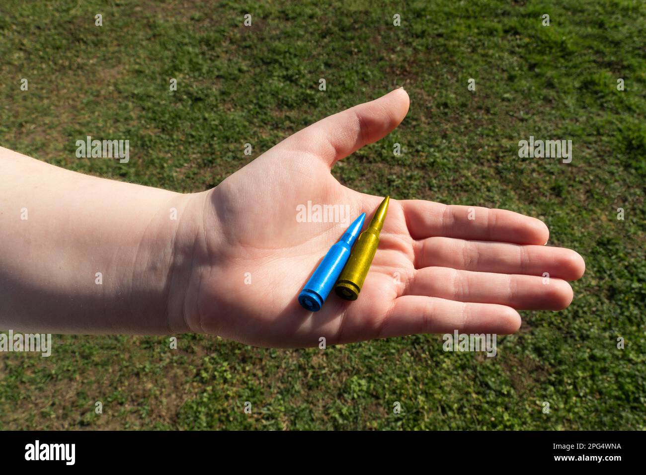 Gelbes und blaues Gewehrkartuschen in der Hand vor dem Hintergrund von grünem Gras (nationale Symbole der Ukraine). Konzept der militärischen Unterstützung für die Ukraine Stockfoto