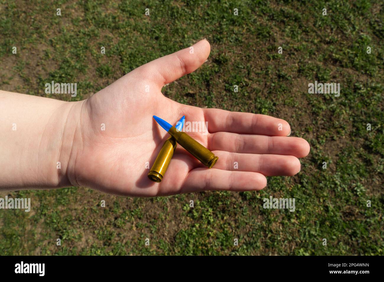 Zwei gelb-blaue Gewehrpatronen in der Hand vor grünem Gras (nationale Symbole der Ukraine). Das Konzept der militärischen Unterstützung für die Ukraine Stockfoto