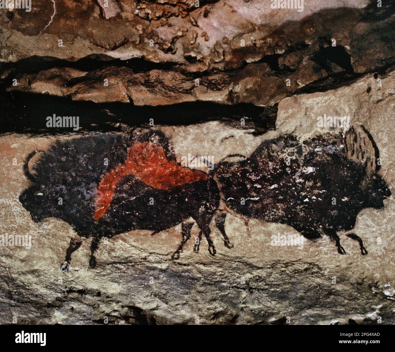 Die Höhlen von Lascaux sind Höhlen mit paläolithischen Gemälden, die als eines der wichtigsten Zeugnisse der prähistorischen Kunst (UNESCO) gelten Stockfoto