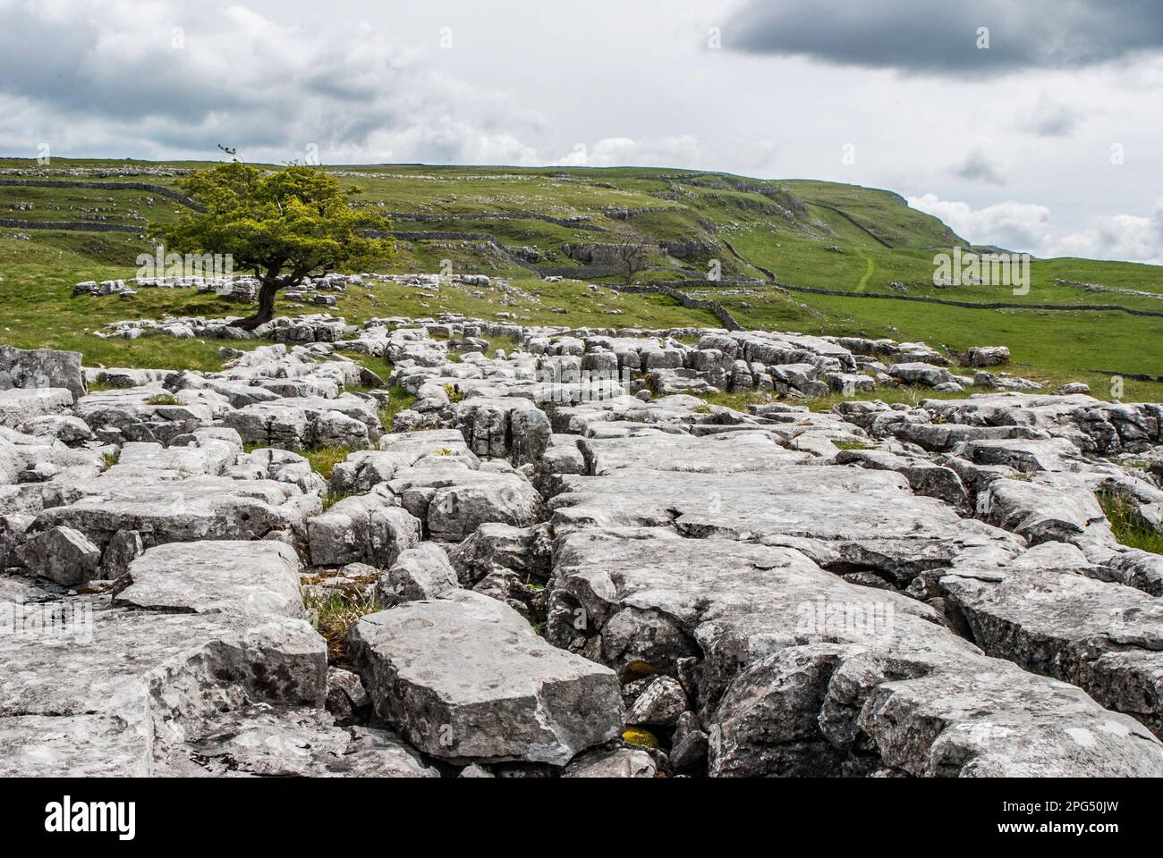 Kalksteinpflaster bei Winskill Stones in North Yorkshire, Stockfoto