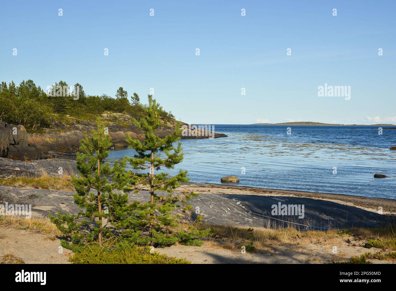 Das Weiße Meer. Sommerlandschaft in Ost-Karelien, Russland. Stockfoto