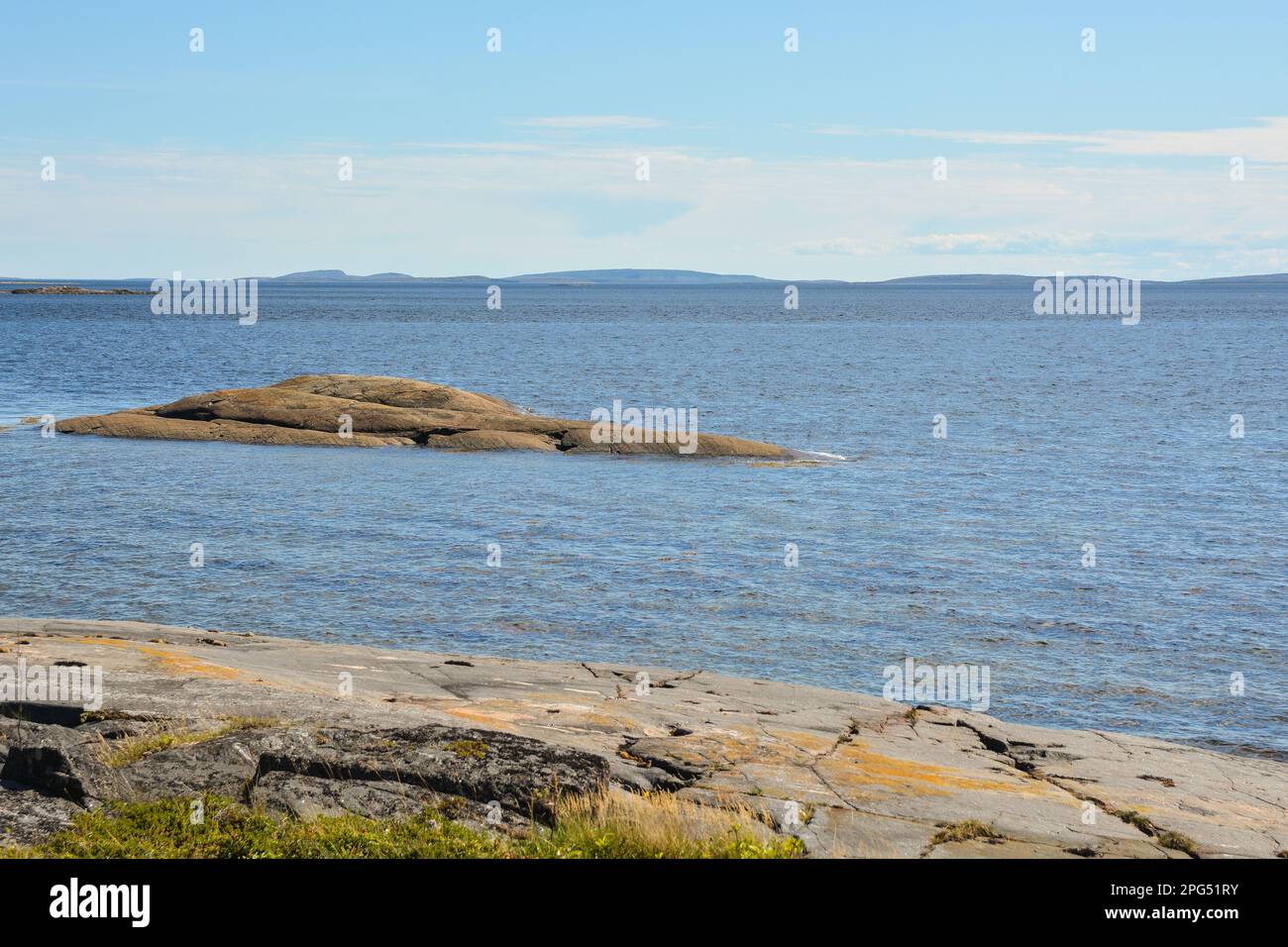 Das Weiße Meer. Sommerlandschaft in Ost-Karelien, Russland. Stockfoto