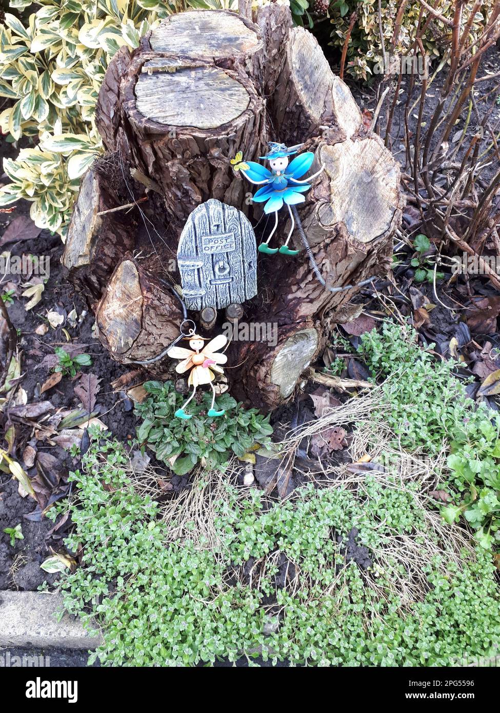 Die Tür zum Postamt von Fairyland inmitten der Baumstümpfe eines Nadelbuschs in Burnley Lancashire Stockfoto
