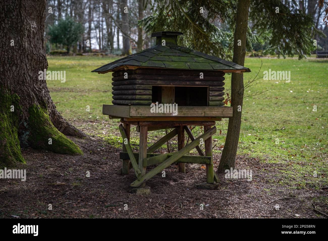 Großes, massives Vogelhaus aus Holz unter einem Baum im Englischen Garten Eulbach Stockfoto