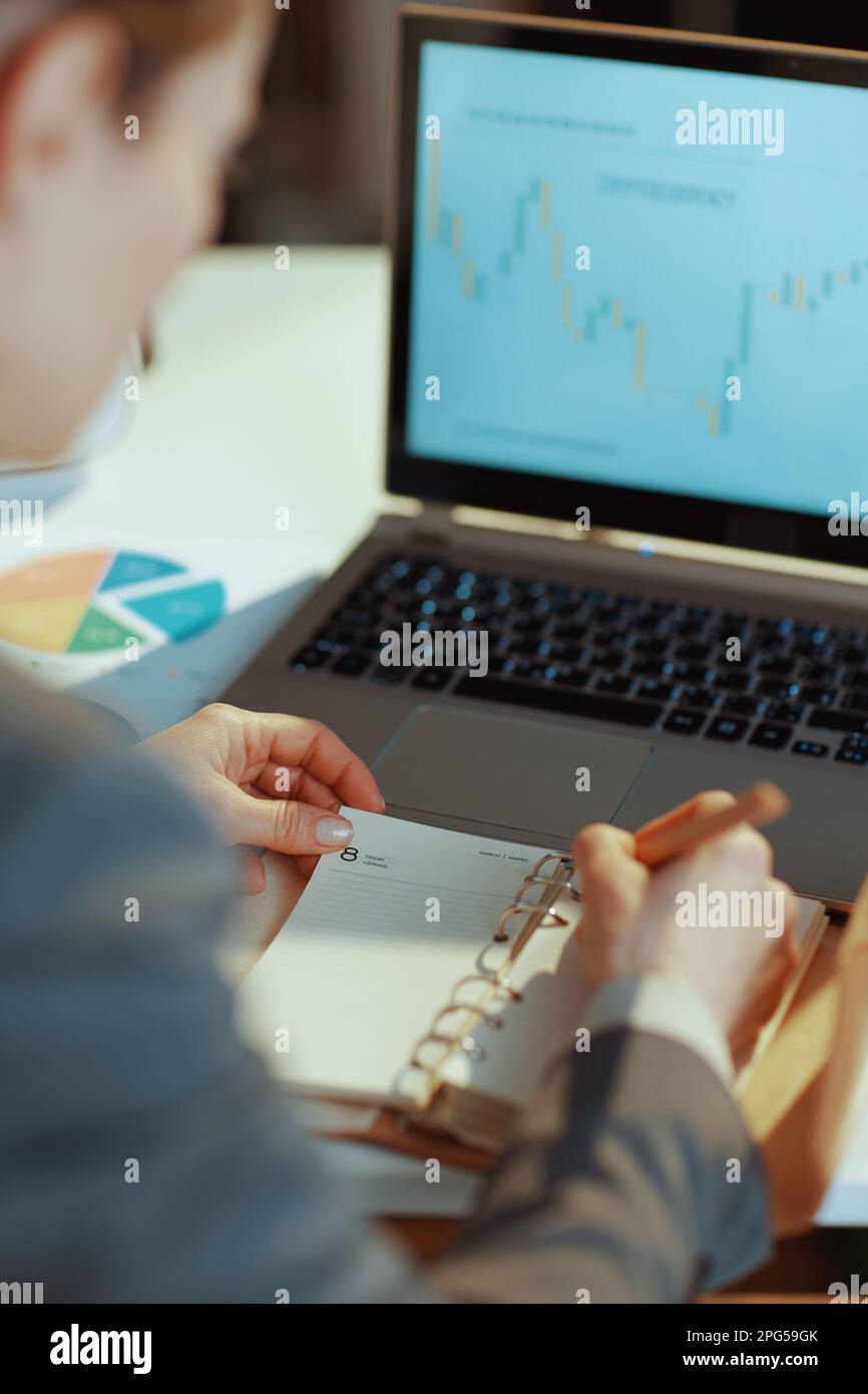 Von hinten gesehen, schreibt eine moderne Geschäftsfrau mit Notebook in einem Notebook. Stockfoto
