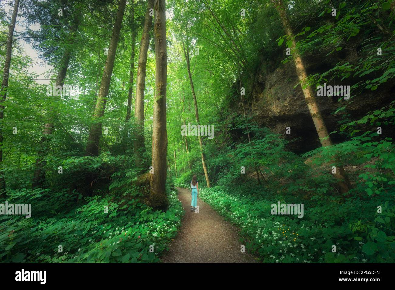 Schöner alter grüner Wald und junge Frau auf dem Weg im Sommer Stockfoto