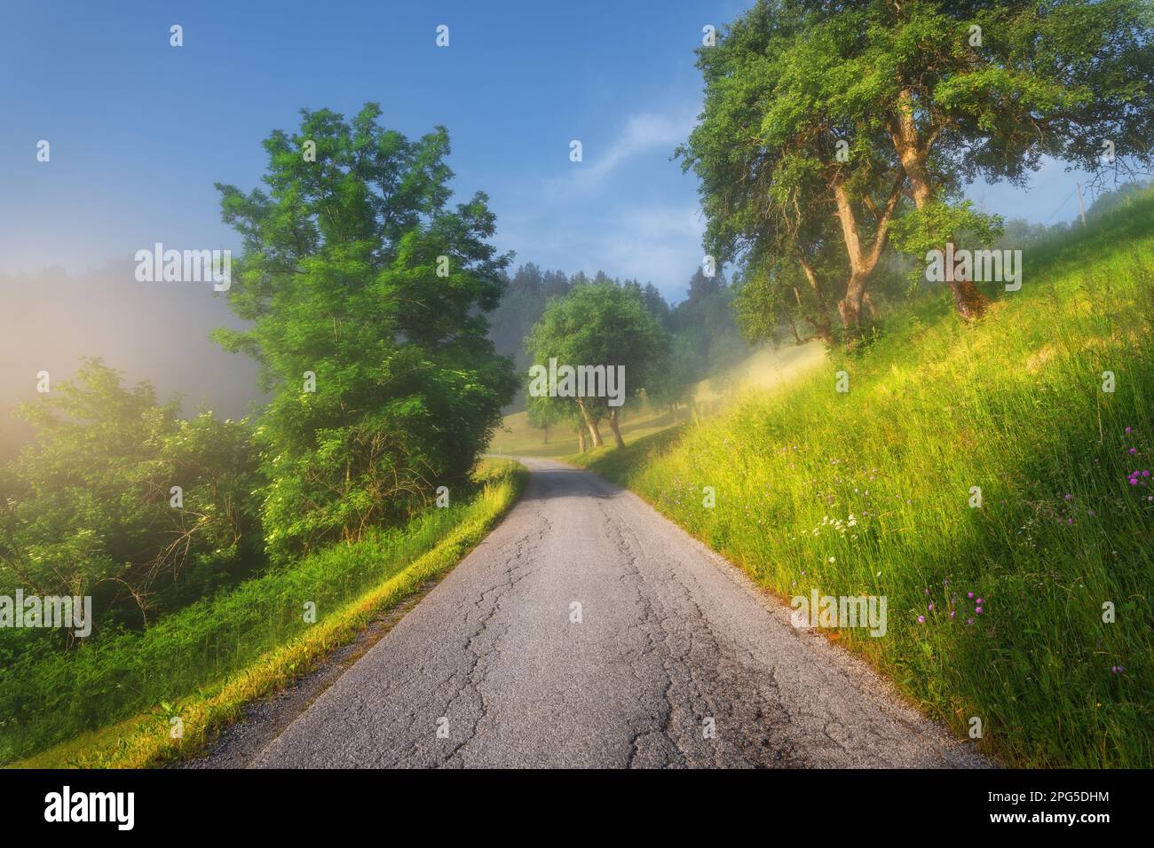 Ländliche, leere Straße in den Bergen im Sommer neblig am Morgen Stockfoto