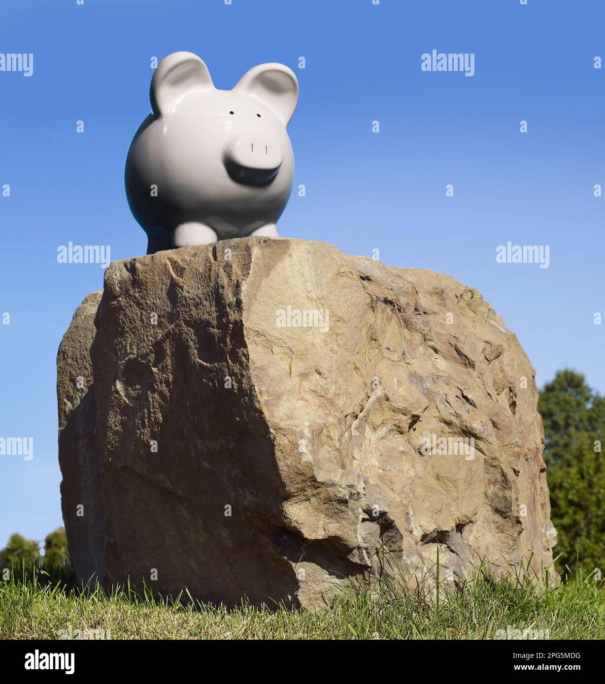 Schweinebank auf dem Felsbrocken Stockfoto