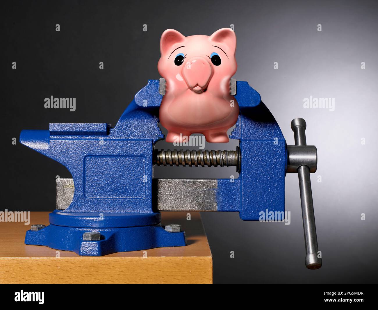 Sparschwein wird ausgequetscht Stockfoto