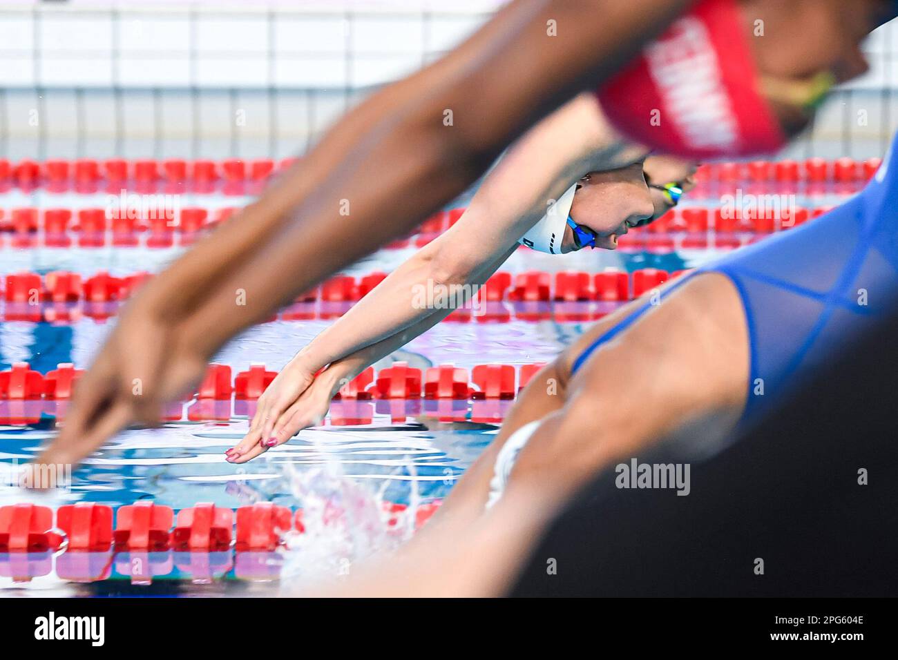 Marie Wattel während eines neuen Schwimmwettbewerbs, der Giant Open am 19. März 2023, im Dom von Saint-Germain-en-Laye, Frankreich. Foto: Victor Joly/ABACAPRESS.COM Stockfoto