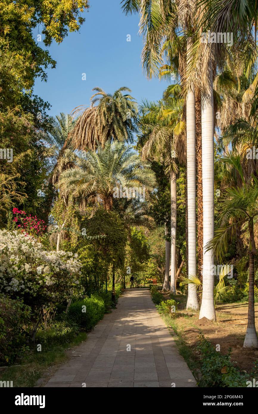Botanischer Garten Assuan, Assuan, Ägypten Stockfoto