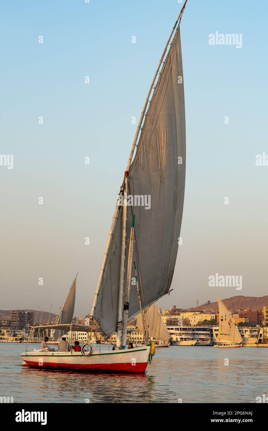 Feluke auf dem Nil, Assuan, Ägypten Stockfoto