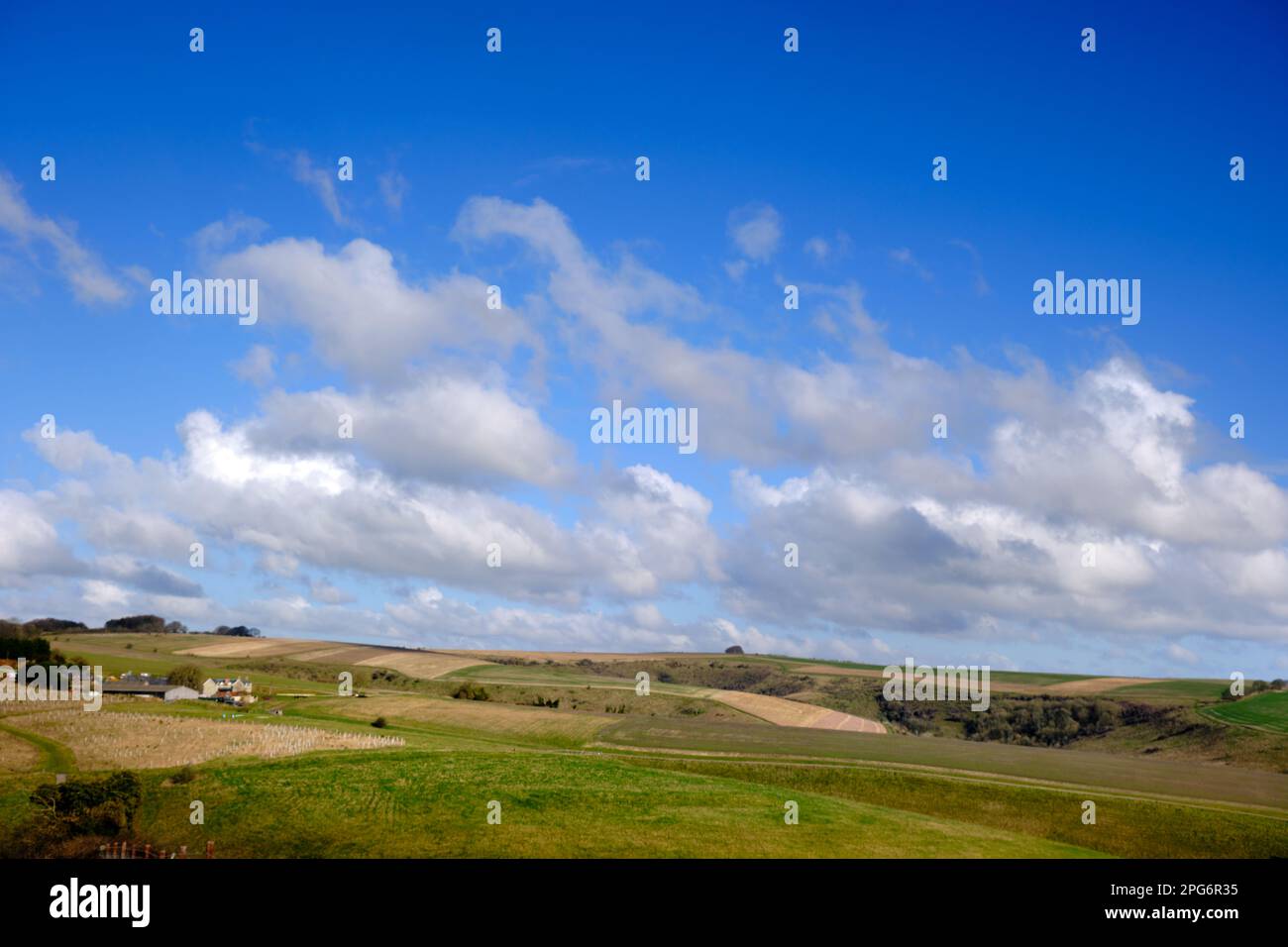 Cranborne Chase und Win Green Hill am Horizont an einem schönen Wintertag Stockfoto