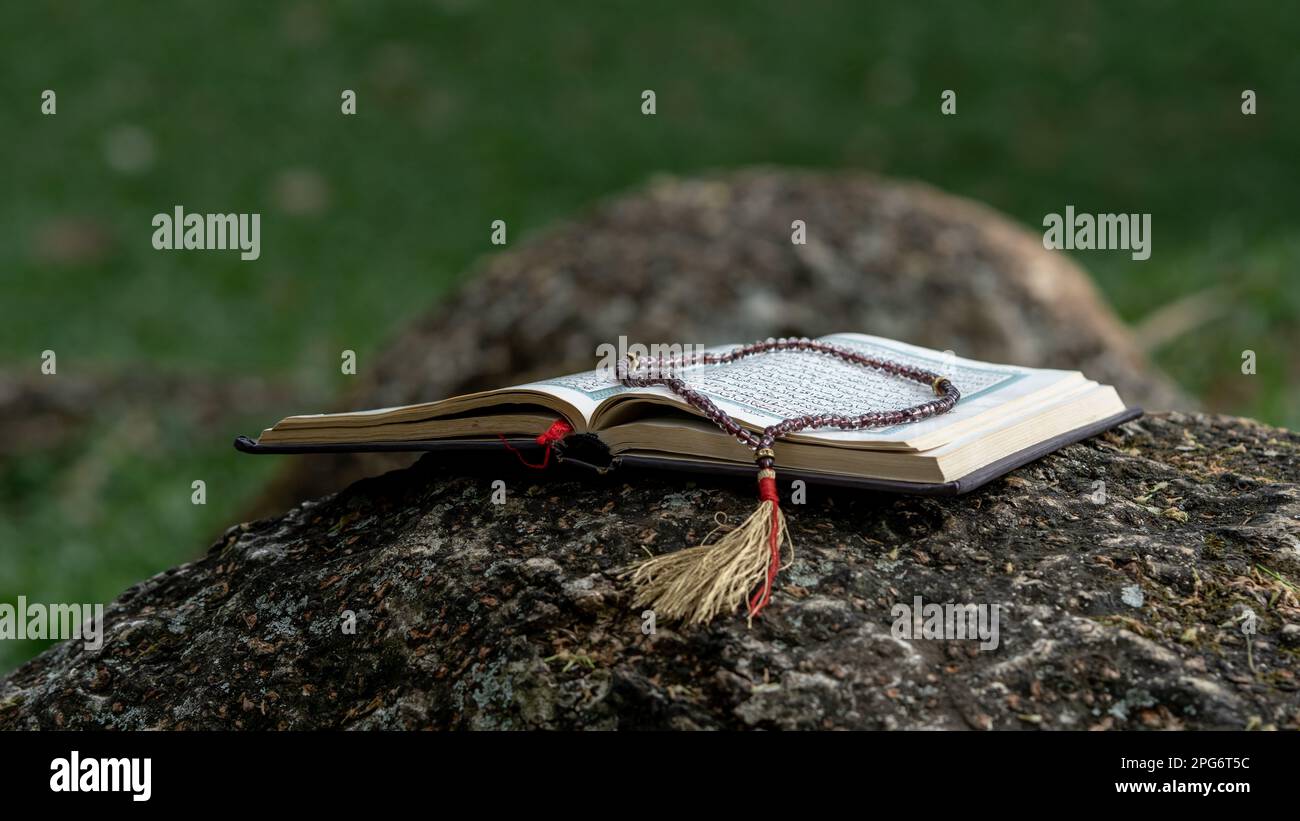 Das Koran, das heilige Buch der Muslime von Gott, auf der Wurzel des Baumes im Garten. Stockfoto