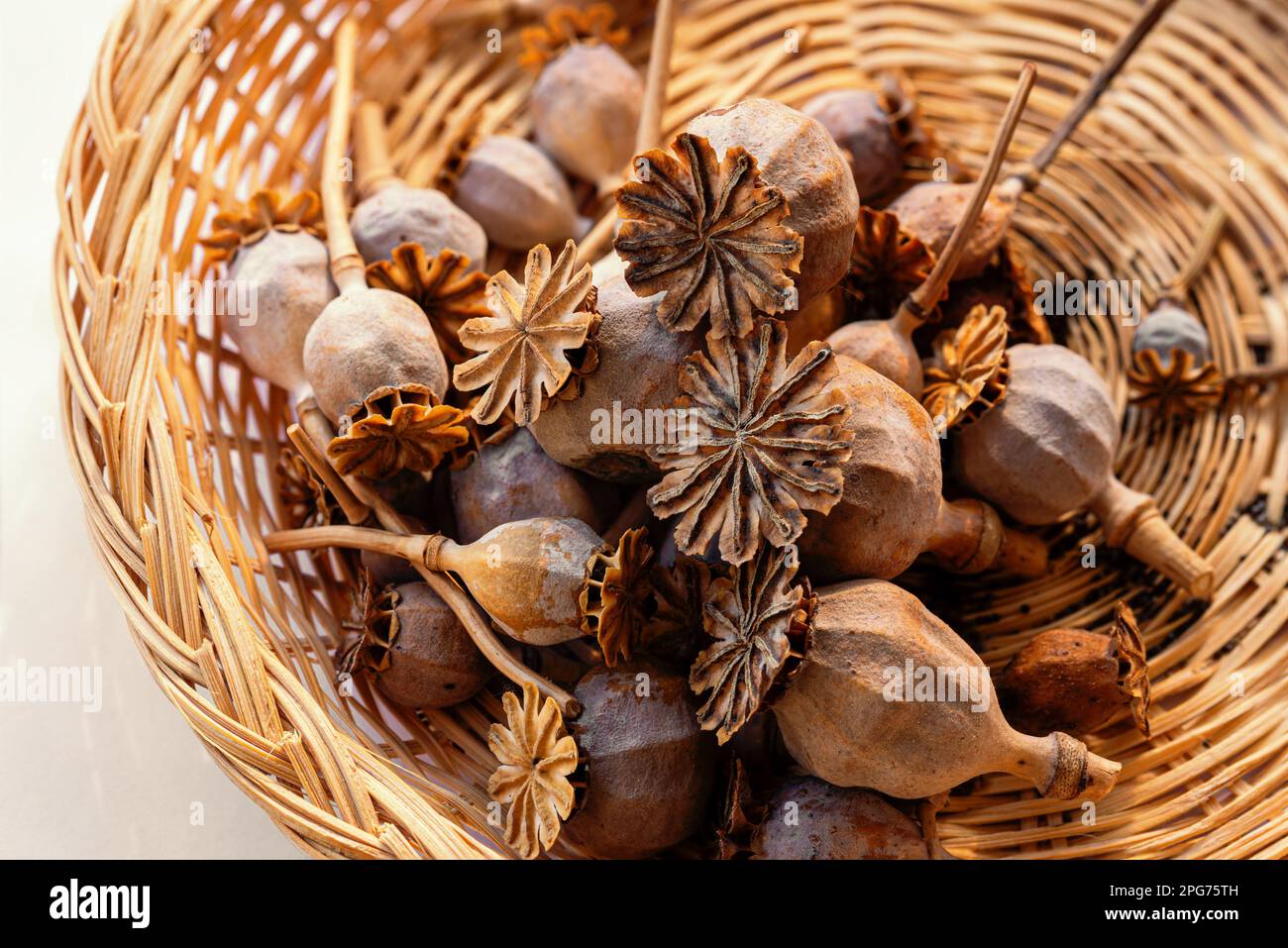 Nahaufnahmen von Mohnköpfen in einem Korb Stockfoto