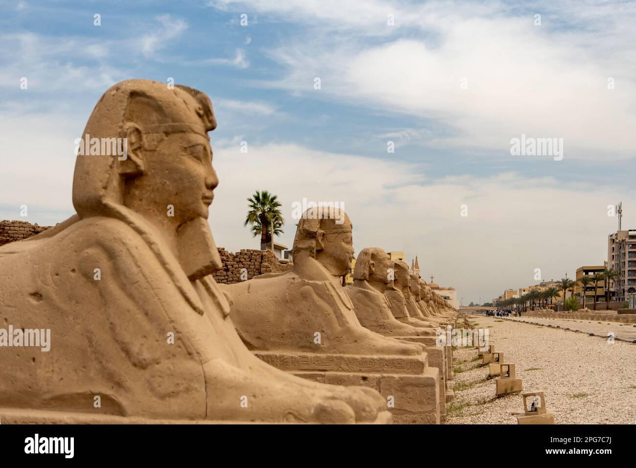 Sphinx Avenue, Luxor, Ägypten Stockfoto