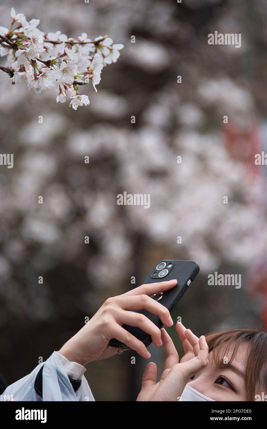 Tokio, Japan. 21. März 2023. Am Dienstag, den 21. März 2023, machen