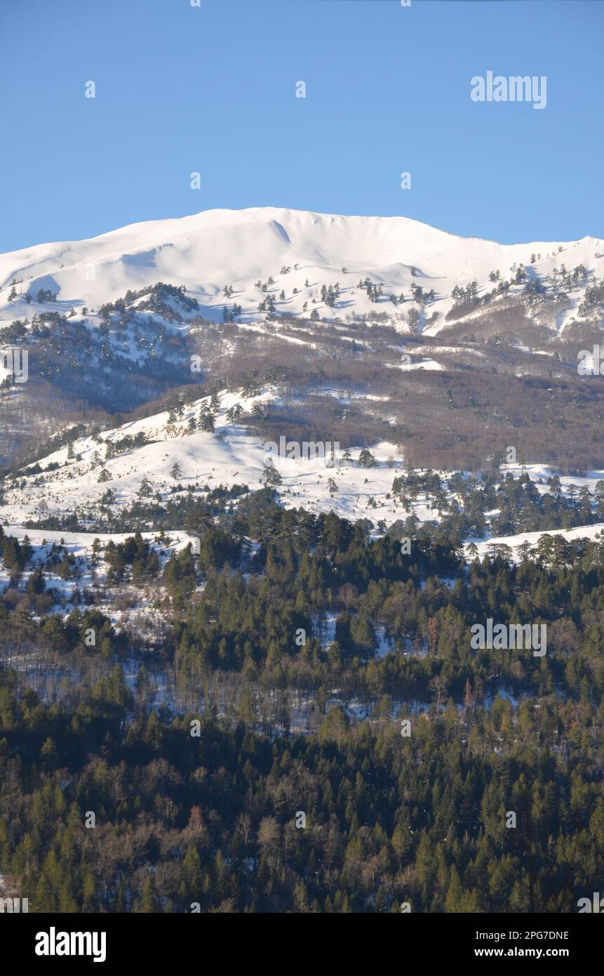 Griechenland, Nordgriechenland, Grevena Filippaioi traditionelles Dorf Stockfoto