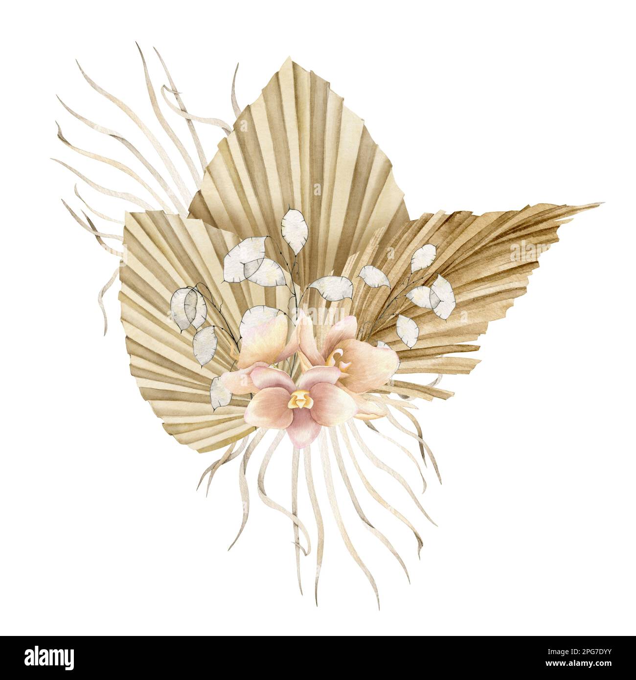 Getrocknete Blumen im Boho-Stil. Handgezeichnete Aquarelle auf isoliertem Hintergrund für Grußkarten oder Hochzeitseinladungen. Böhmischer cremiger Bouquet mit trockenen Palmenblättern in blassrosa Orchideen. Stockfoto